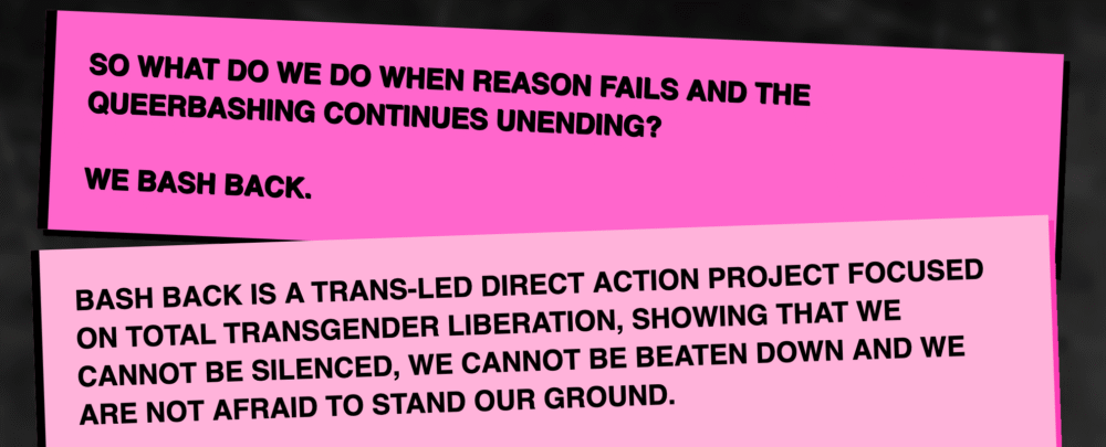 bash back trans protest