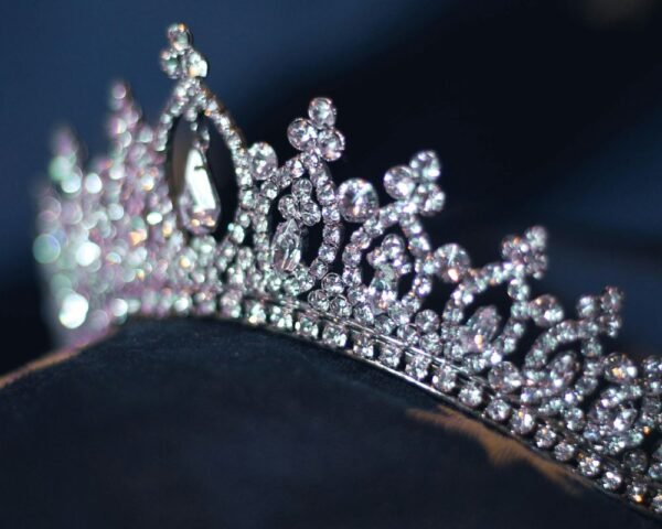 Ella Claire Johnson: From Colorado to the National Stage, Lifting Trans Voices Through Pageantry