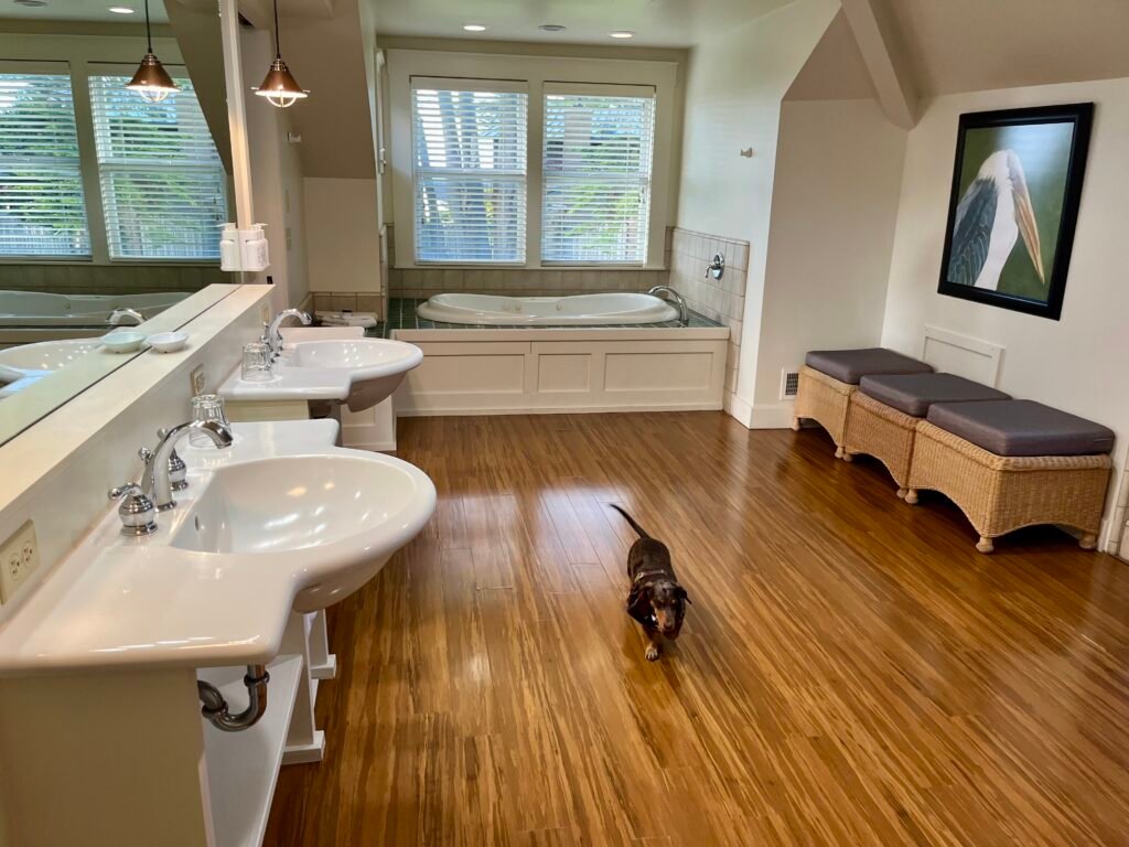 author's dog in the bathroom at little river